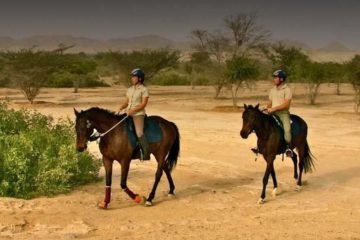 Horse Riding Salalah Pontland